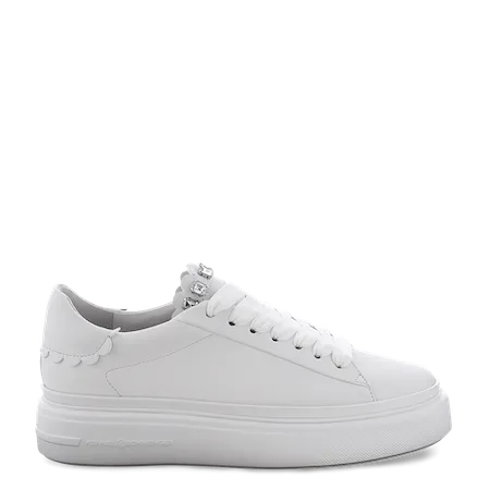 Bianco Dive Crystal Scalloped Sneakers