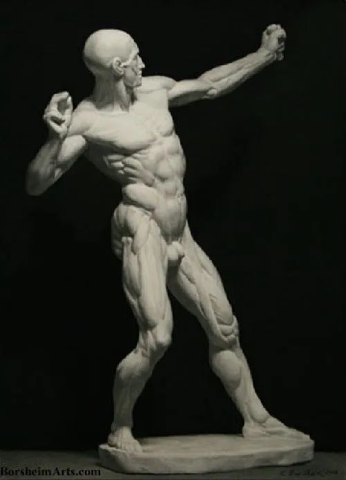 Écorché The Archer Drawing of a Sculpture