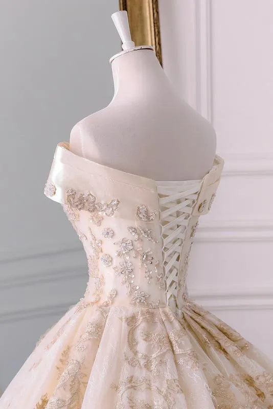 Gorgeous Off the Shoulder Ball Gown Wedding Dress, Long Appliques Bridal Dress N1528