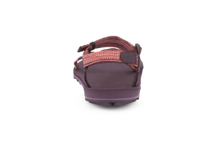 Xero Shoes Z-Trail EV Sandale (Damen) - magenta
